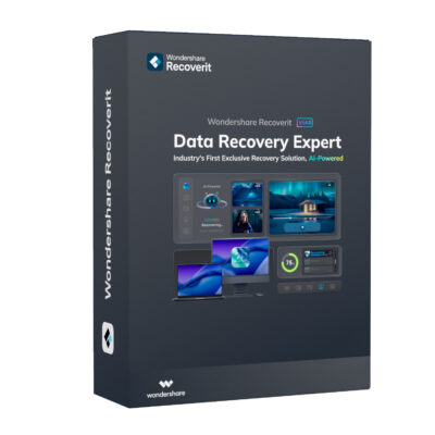 Wondershare Recoverit Data Recovery Expert for Windows Individual (Digital Perpetual License)